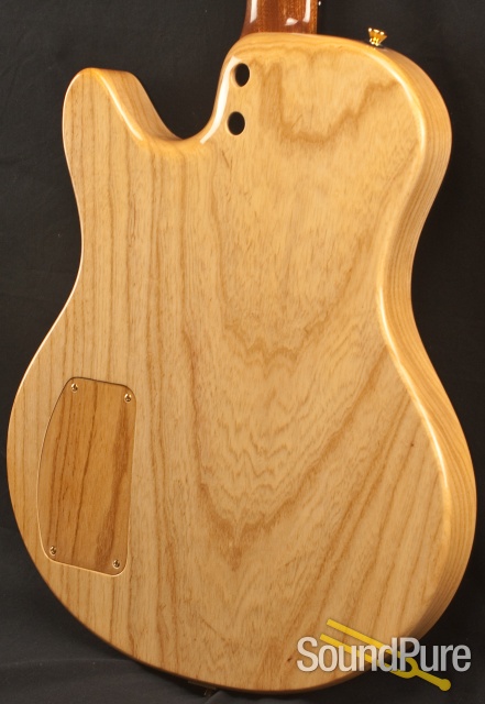 Buscarino Starlight Archtop Guitar 2513 — image 8