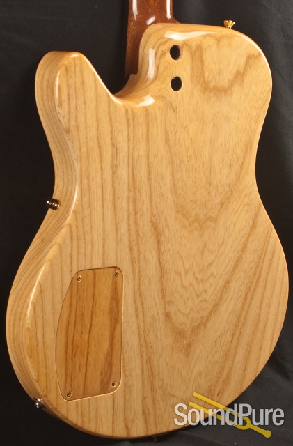 Buscarino Starlight Archtop Guitar 2513 — image 9