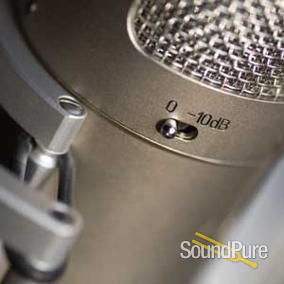 Brauner Phantom V FET Microphone — image 4