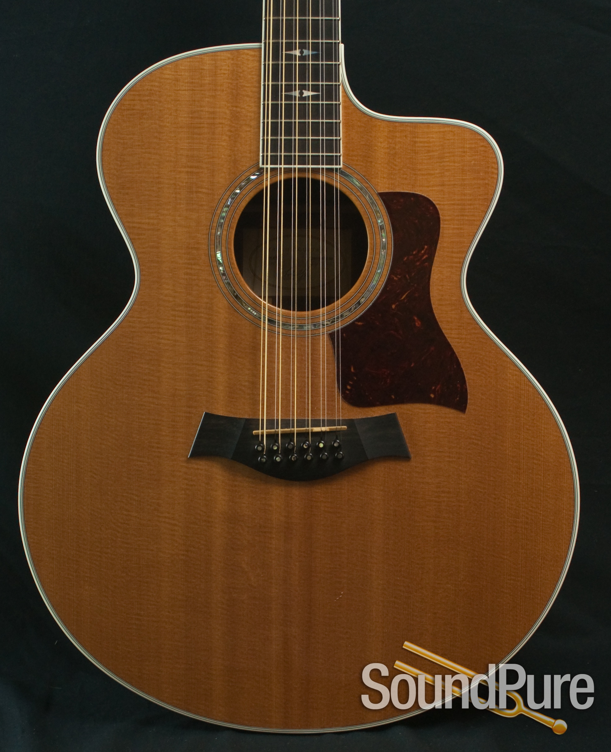 Taylor 855CE 12 String Jumbo Acoustic Guitar 2001 Used